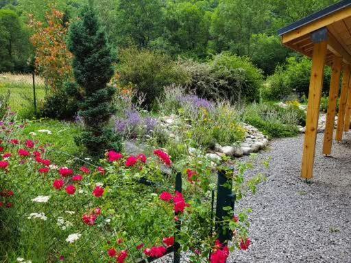 Gite La Fargue De Cabre Val-de-Sos Exteriör bild