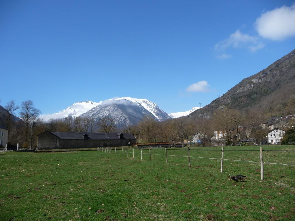 Gite La Fargue De Cabre Val-de-Sos Rum bild